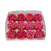 Fuchsia Sunshine Carnation