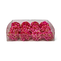 Fuchsia Sunshine Carnation