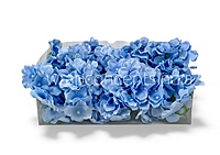 Powder Blue Hydrangeas