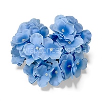 Powder Blue Hydrangeas