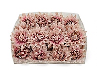 Muted Blush Dahlia Flower