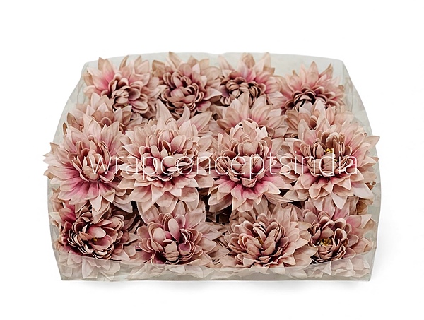 Muted Blush Dahlia Flower