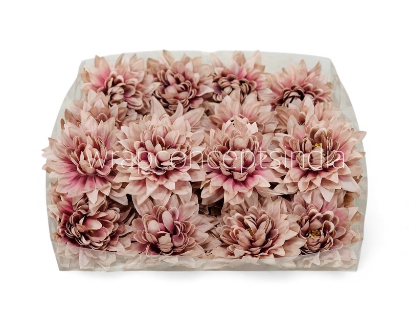 Muted Blush Dahlia Flower