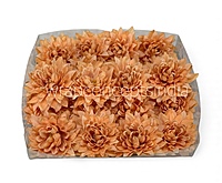 Pumpkin Dahlia Flower