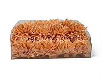 Pumpkin Dahlia Flower