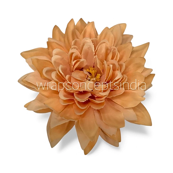 Pumpkin Dahlia Flower
