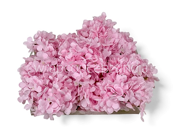 Baby Pink Hydrangeas