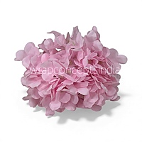 Baby Pink Hydrangeas