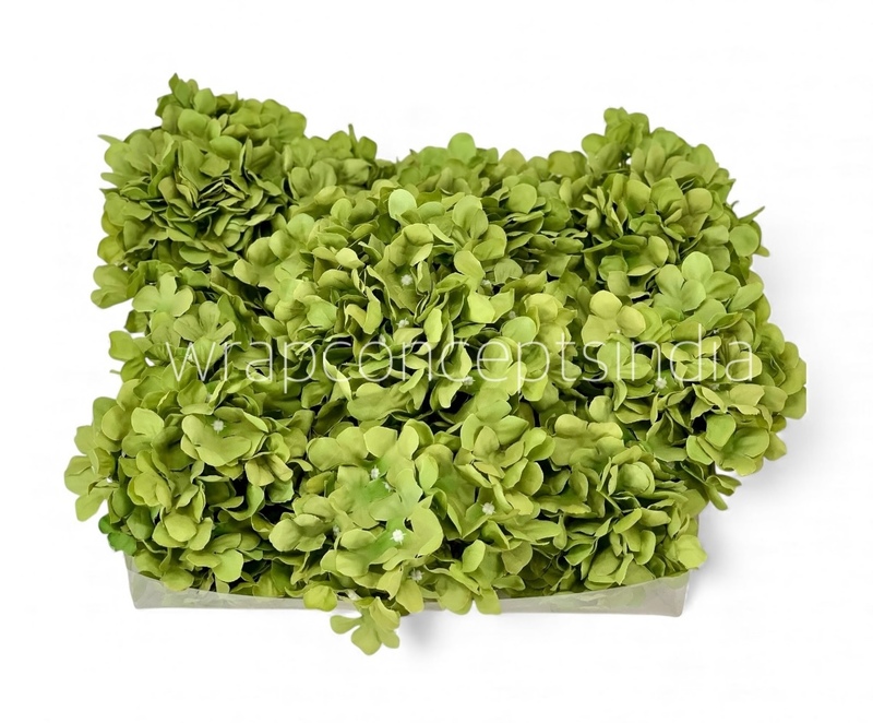 Olive Mist Hydrangeas