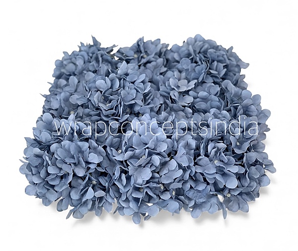 Air Blue Hydrangeas
