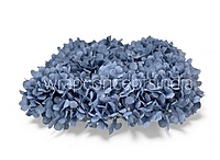 Air Blue Hydrangeas