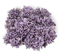 Periwinkle Hydrangeas