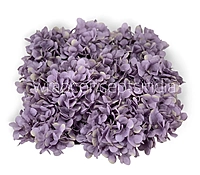 Periwinkle Hydrangeas