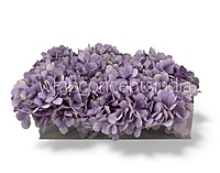 Periwinkle Hydrangeas