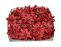 Crimson Spark Poinsettia