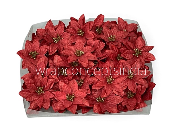 Crimson Spark Poinsettia