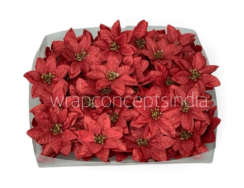Crimson Spark Poinsettia