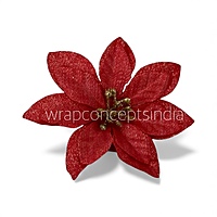 Crimson Spark Poinsettia
