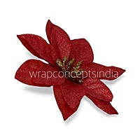 Crimson Spark Poinsettia