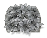 Silver Frost Poinsettia