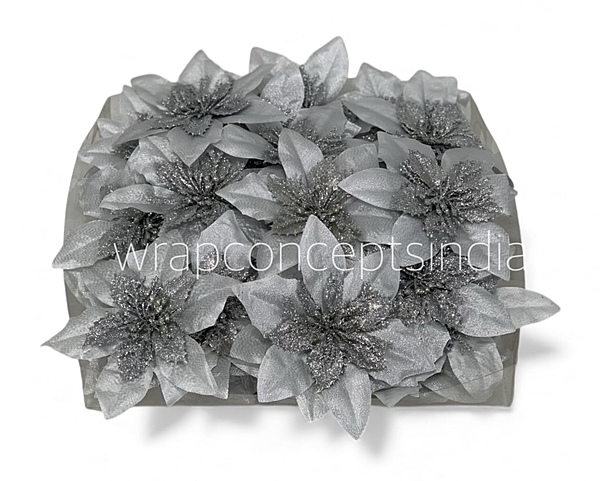 Silver Frost Poinsettia