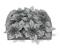 Silver Frost Poinsettia