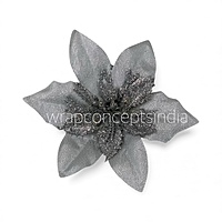 Silver Frost Poinsettia