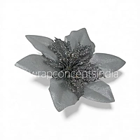 Silver Frost Poinsettia