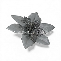 Silver Frost Poinsettia