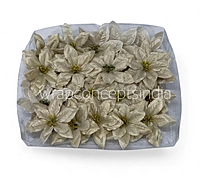 Champagne Spark Poinsettia