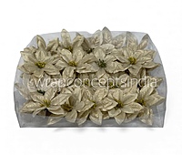 Champagne Spark Poinsettia