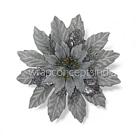Silver Twilight Poinsettia
