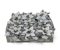 Snowfall Silver Poinsettia