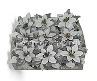 Snowfall Silver Poinsettia