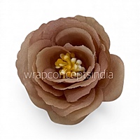 Soft Cocoa Rose Flower