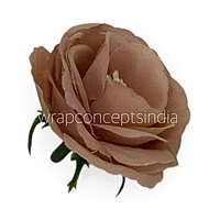 Soft Cocoa Rose Flower