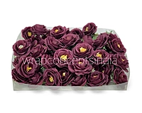 Wine Rose Flower