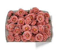 Coral Rose Flower