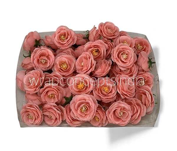 Coral Rose Flower