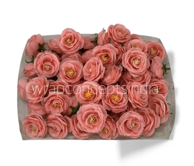 Coral Rose Flower