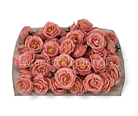 Coral Rose Flower