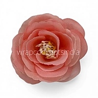 Coral Rose Flower
