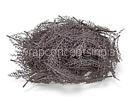 Ember Twig