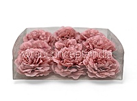 Rosewood Pink Moutan Peony