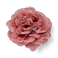 Rosewood Pink Moutan Peony