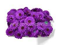 Wine Gerberas