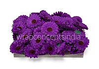 Wine Gerberas