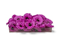 Fuchsia Pink Gerberas