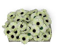 Lemon White Gerberas