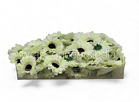 Lemon White Gerberas